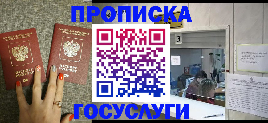временная прописка в Электрогорске